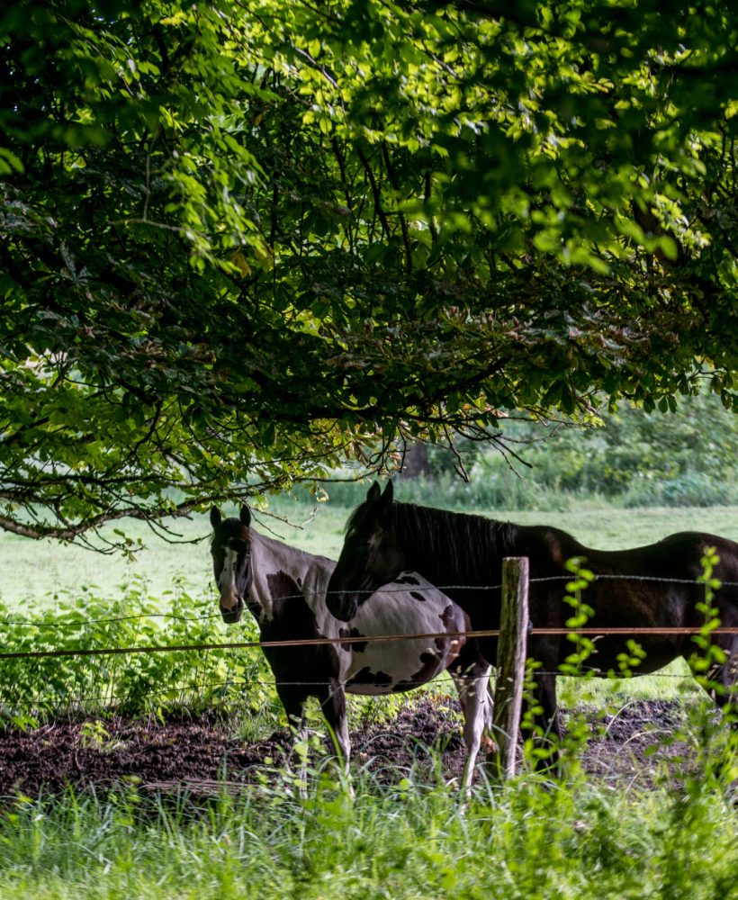 Commune Oise